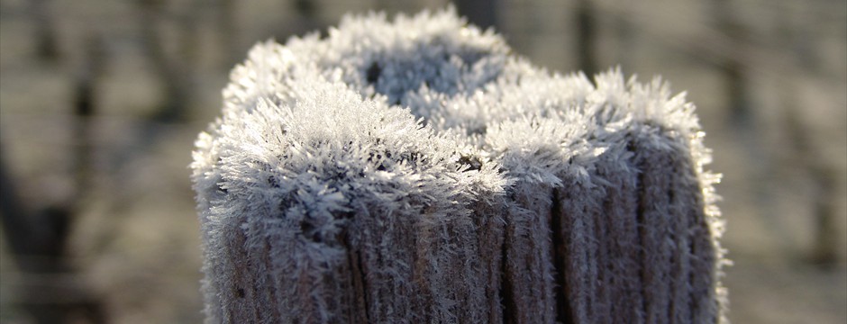 Winter3